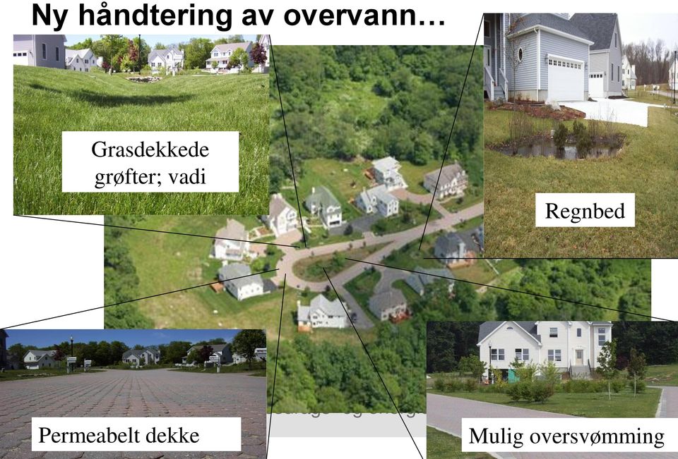 grøfter; vadi Regnbed