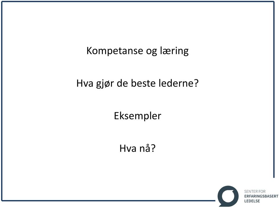 de beste lederne?