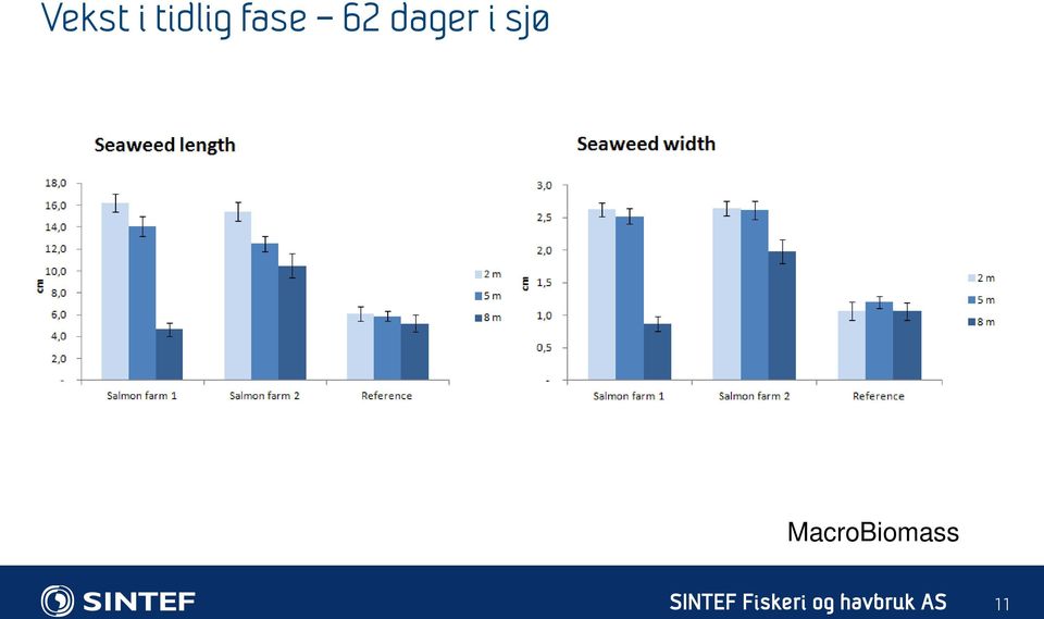 62 dager i