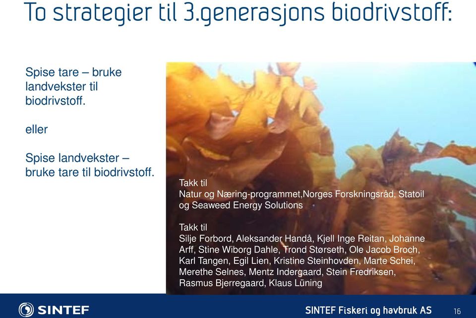 Takk til Natur og Næring-programmet,Norges Forskningsråd, Statoil og Seaweed Energy Solutions Takk til Silje Forbord, Aleksander