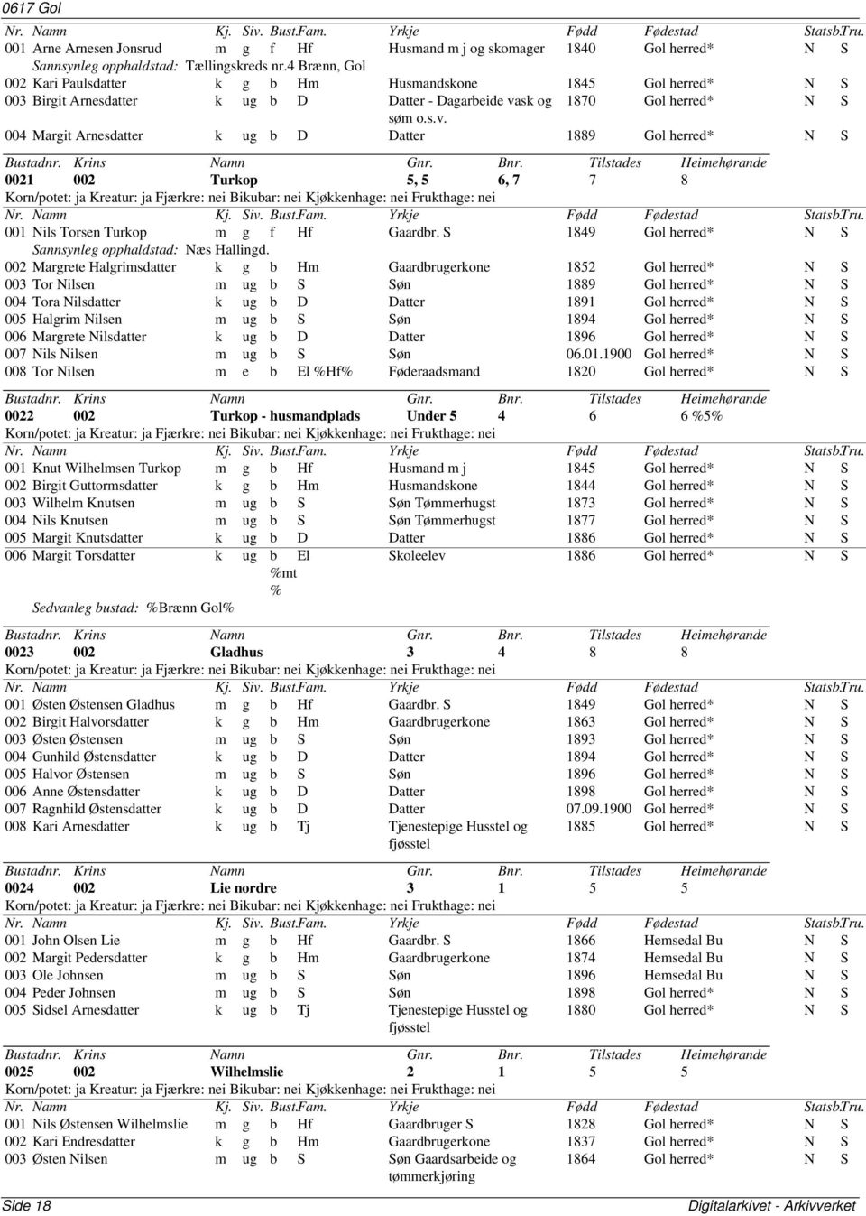 sk og 1870 Gol herred* N S søm o.s.v. 004 Margit Arnesdatter k ug b D Datter 1889 Gol herred* N S 0021 002 Turkop 5, 5 6, 7 7 8 001 Nils Torsen Turkop m g f Hf Gaardbr.
