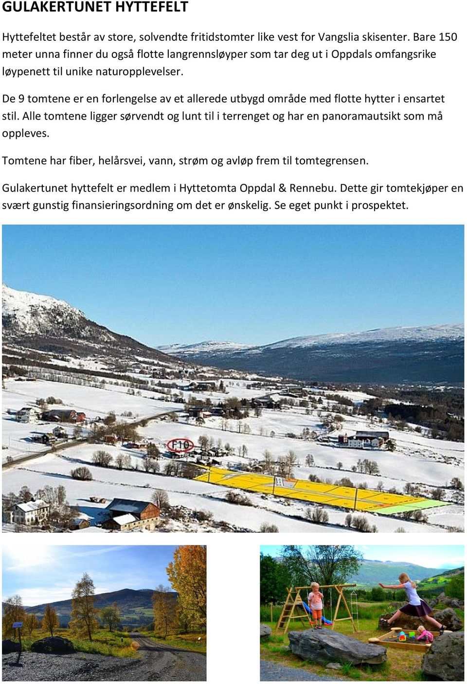 De 9 tomtene er en forlengelse av et allerede utbygd område med flotte hytter i ensartet stil.