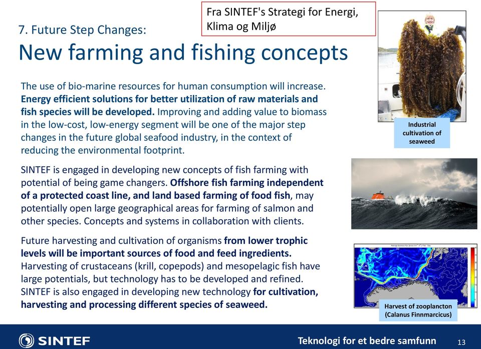 Improving and adding value to biomass in the low-cost, low-energy segment will be one of the major step changes in the future global seafood industry, in the context of reducing the environmental