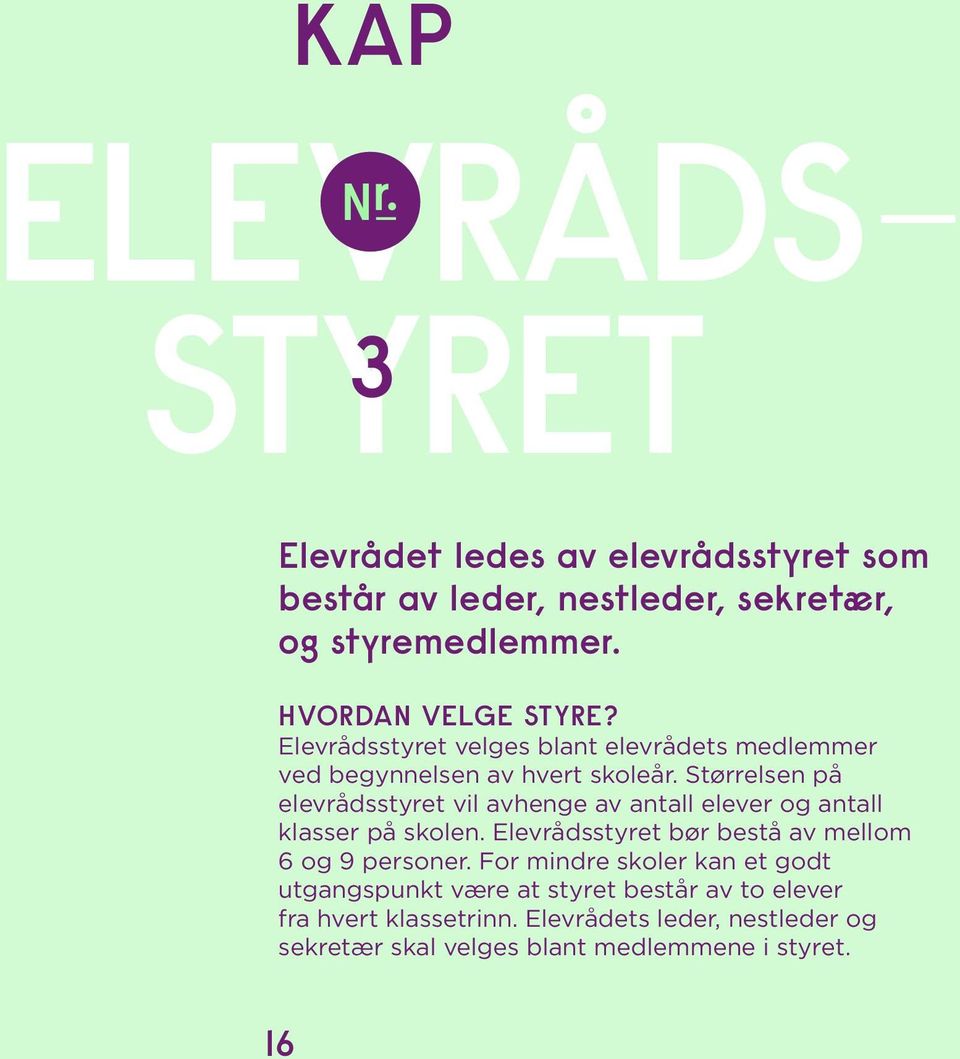 Størrelsen på elevrådsstyret vil avhenge av antall elever og antall klasser på skolen.