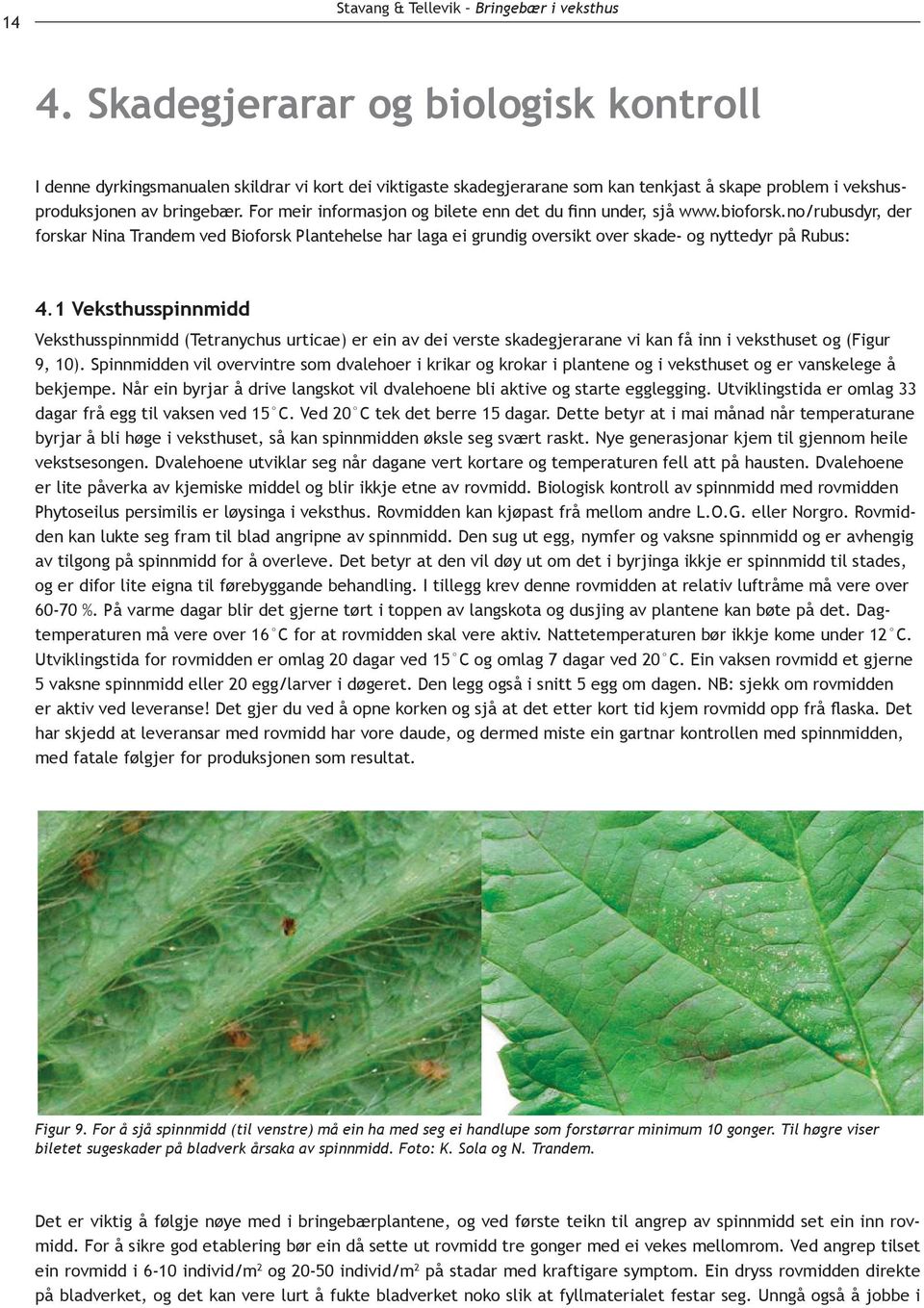 har laga ei grundig oversikt over skade- og nyttedyr på Rubus: 4.