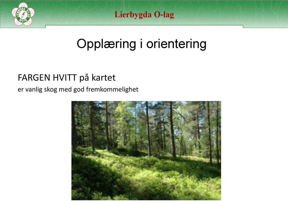 vanlig skog med