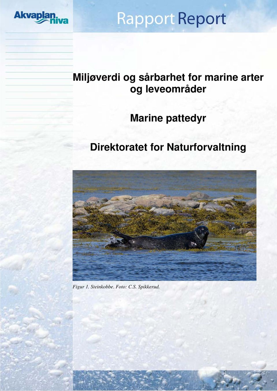 Direktoratet for Naturforvaltning