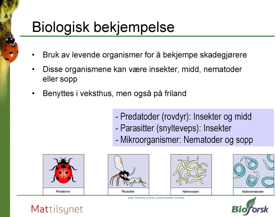 (rovdyr): Insekter og midd - Parasitter (snylteveps): Insekter - Mikroorganismer: Nematoder og sopp