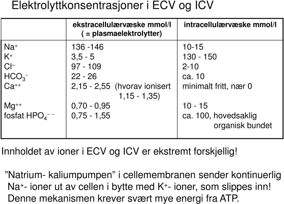 10 minimalt fritt, nær 0 10-15 ca. 100, hovedsaklig organisk bundet Innholdet av ioner i ECV og ICV er ekstremt forskjellig!