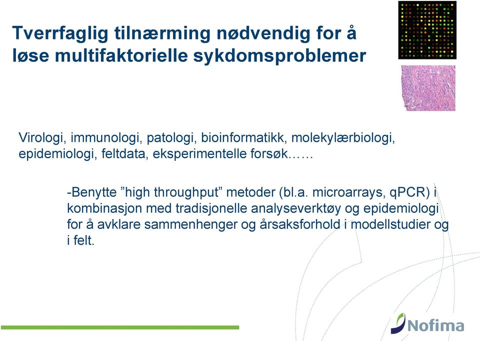 forsøk -Benytte high throughput metoder (bl.a.