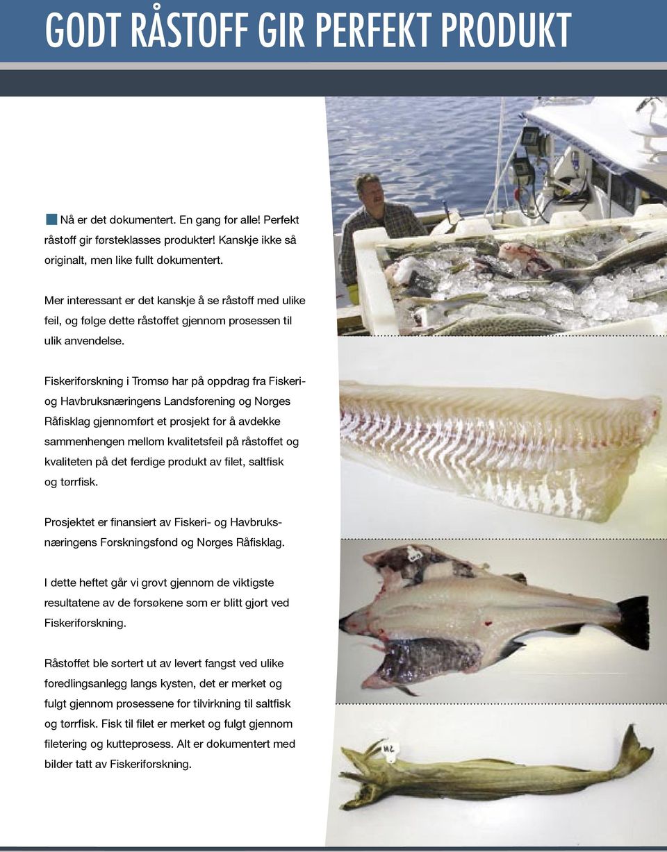 Fiskeriforskning i Tromsø har på oppdrag fra Fiskeriog Havbruksnæringens Landsforening og Norges Råfisklag gjennomført et prosjekt for å avdekke sammenhengen mellom kvalitetsfeil på råstoffet og