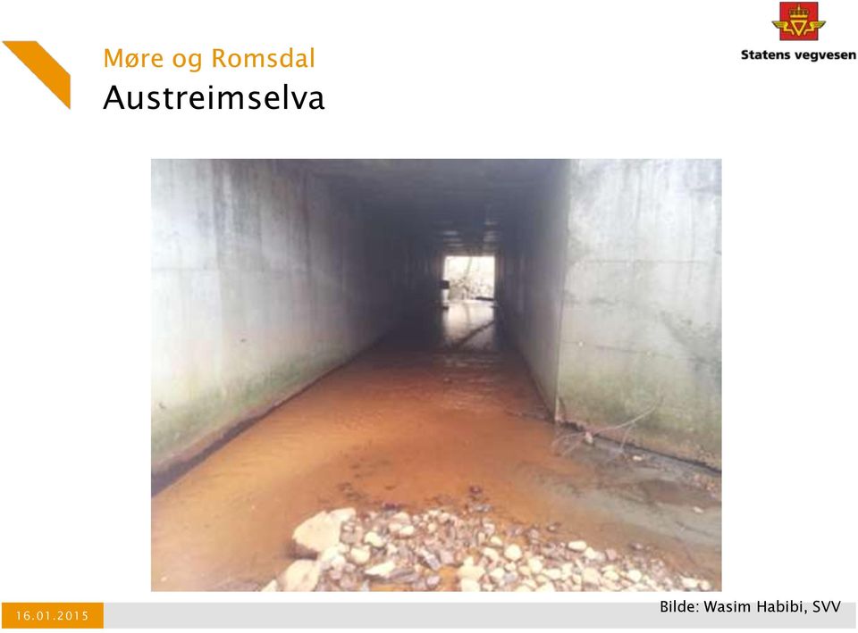 Austreimselva