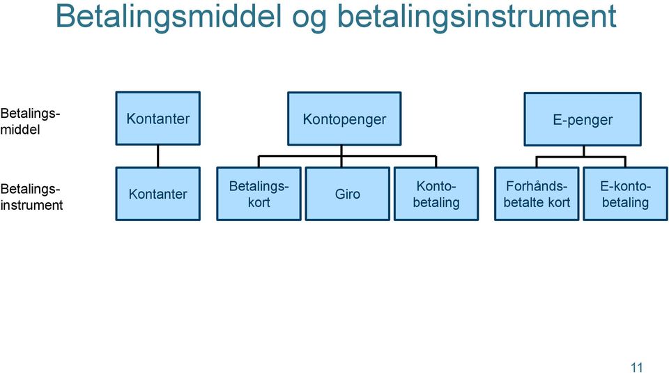 Kontanter Giro Betalingsinstrument