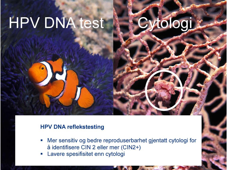 gjentatt cytologi for å identifisere CIN 2