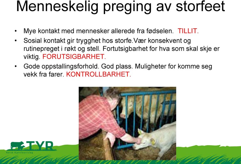 vær konsekvent og rutinepreget i røkt og stell.