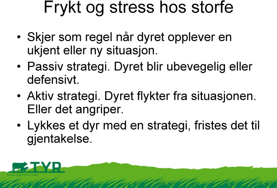 Dyret blir ubevegelig eller defensivt. Aktiv strategi.