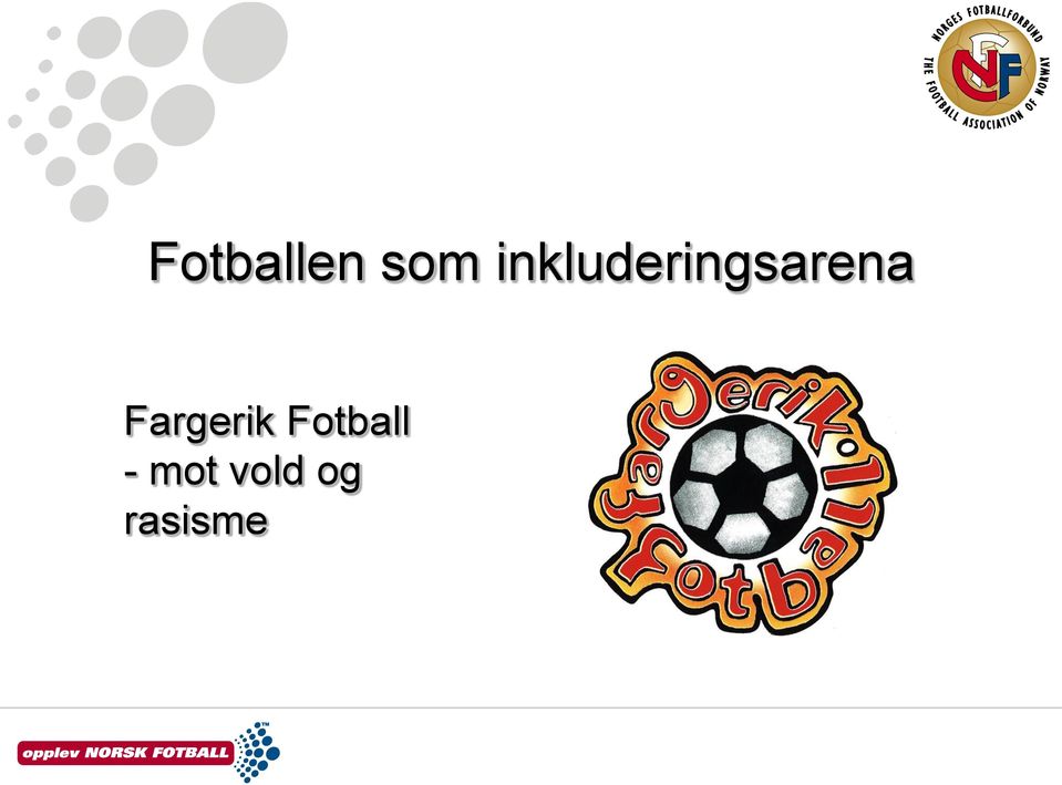 Fargerik Fotball