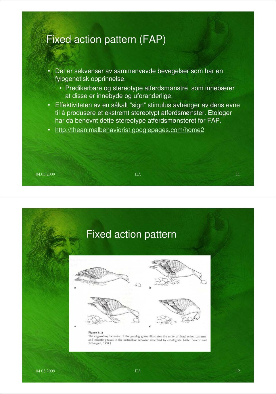 Effektiviteten av en såkalt sign stimulus avhenger av dens evne til å produsere et ekstremt stereotypt atferdsmønster.