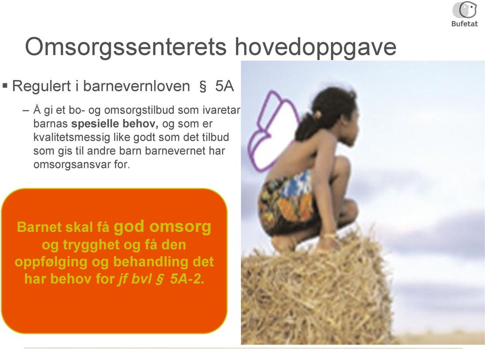 godt som det tilbud som gis til andre barn barnevernet har omsorgsansvar for.