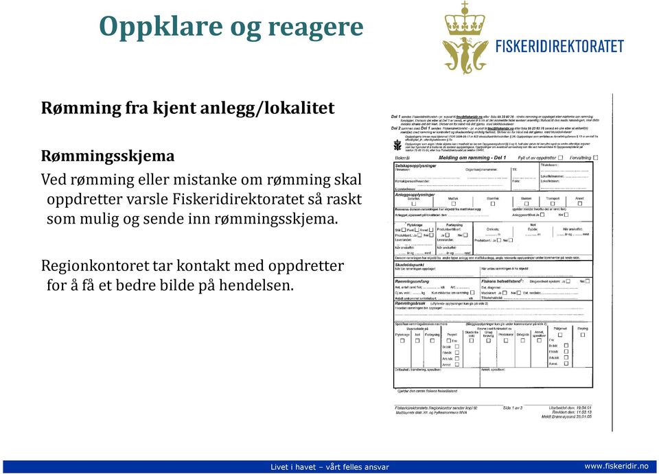 Fiskeridirektoratet så raskt som mulig og sende inn rømmingsskjema.