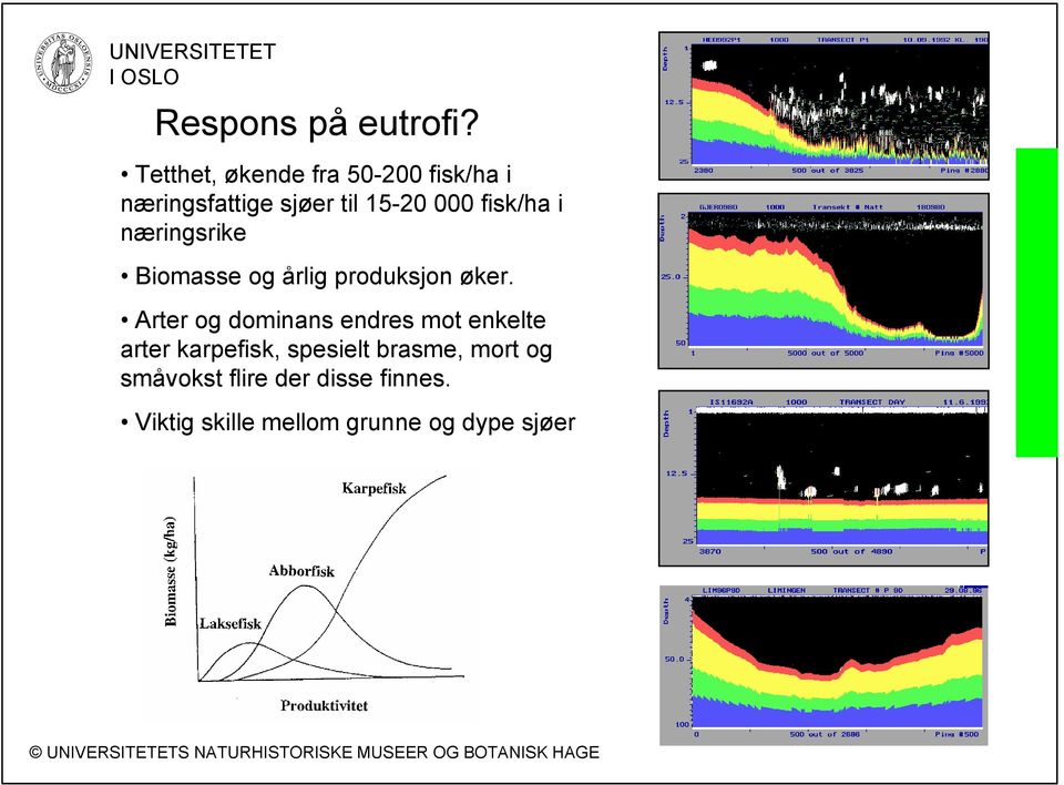 fisk/ha i næringsrike Biomasse og årlig produksjon øker.