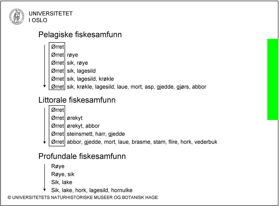 ørekyt Ørret ørekyt, abbor Ørret steinsmett, harr, gjedde Ørret abbor, gjedde, mort, laue, brasme, stam,