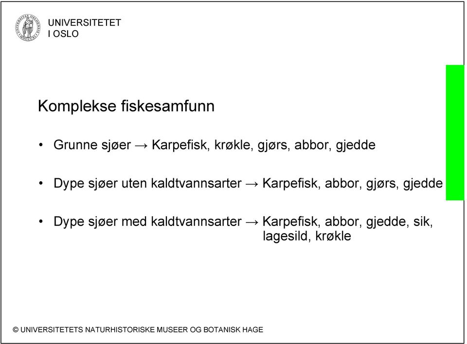 Karpefisk, abbor, gjørs, gjedde Dype sjøer med