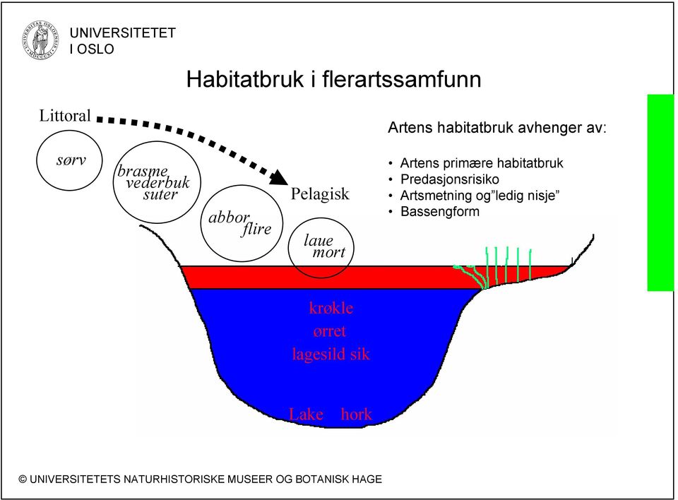 abbor flire laue mort Artens primære habitatbruk Predasjonsrisiko