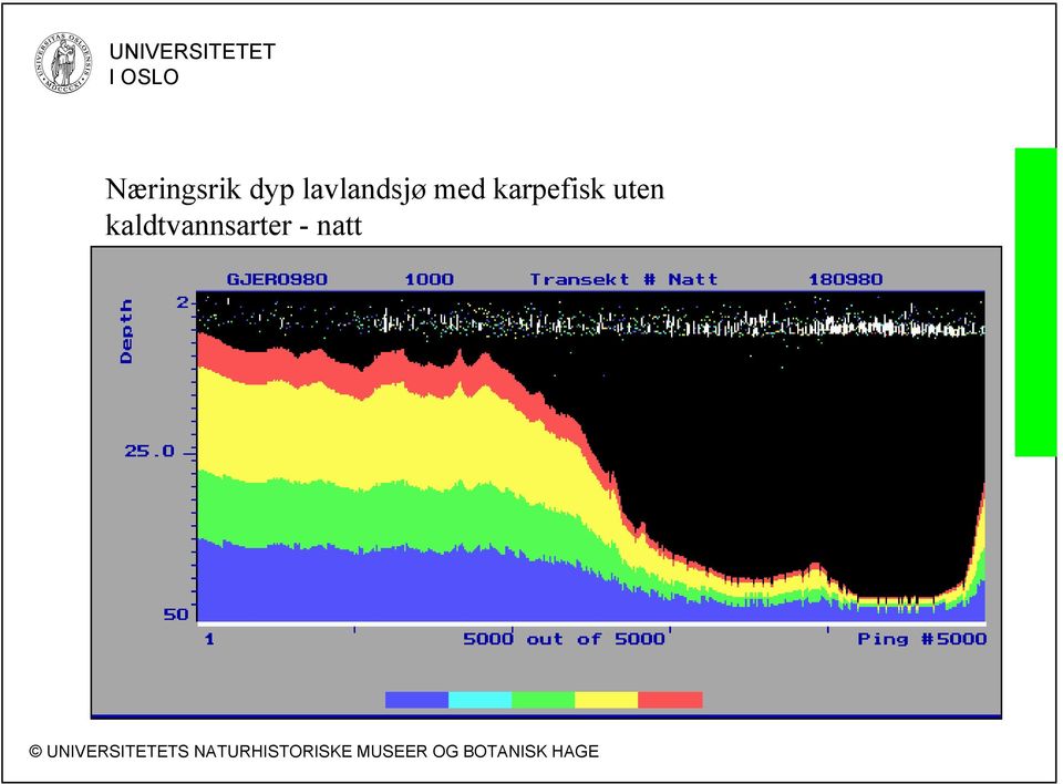 karpefisk uten