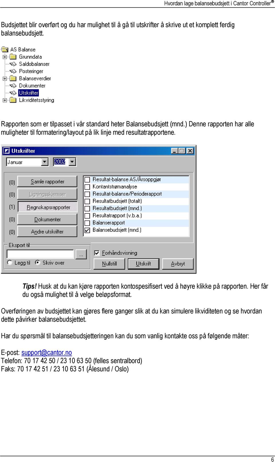 Her får du også mulighet til å velge beløpsformat. Overføringen av budsjettet kan gjøres flere ganger slik at du kan simulere likviditeten og se hvordan dette påvirker balansebudsjettet.