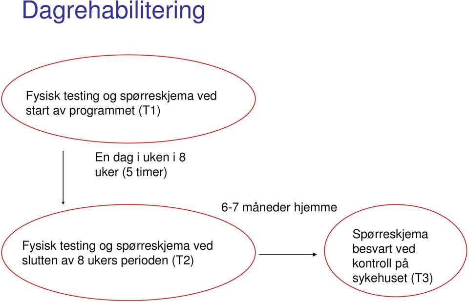 hjemme Fysisk testing og spørreskjema ved slutten av 8 ukers