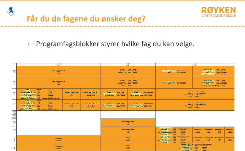 Programfagsblokker