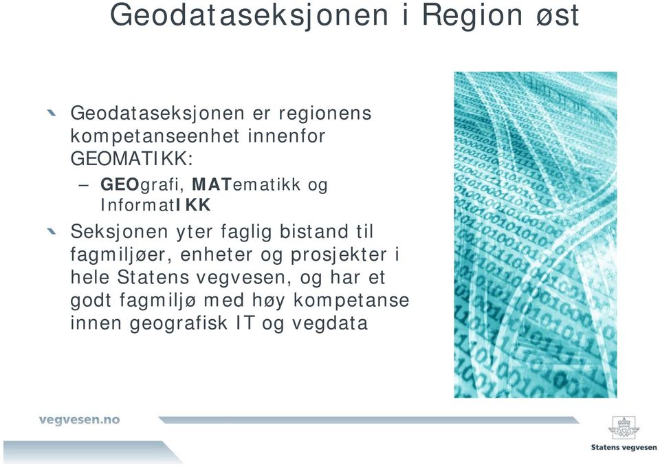 Seksjonen yter faglig bistand til fagmiljøer, enheter og prosjekter i hele