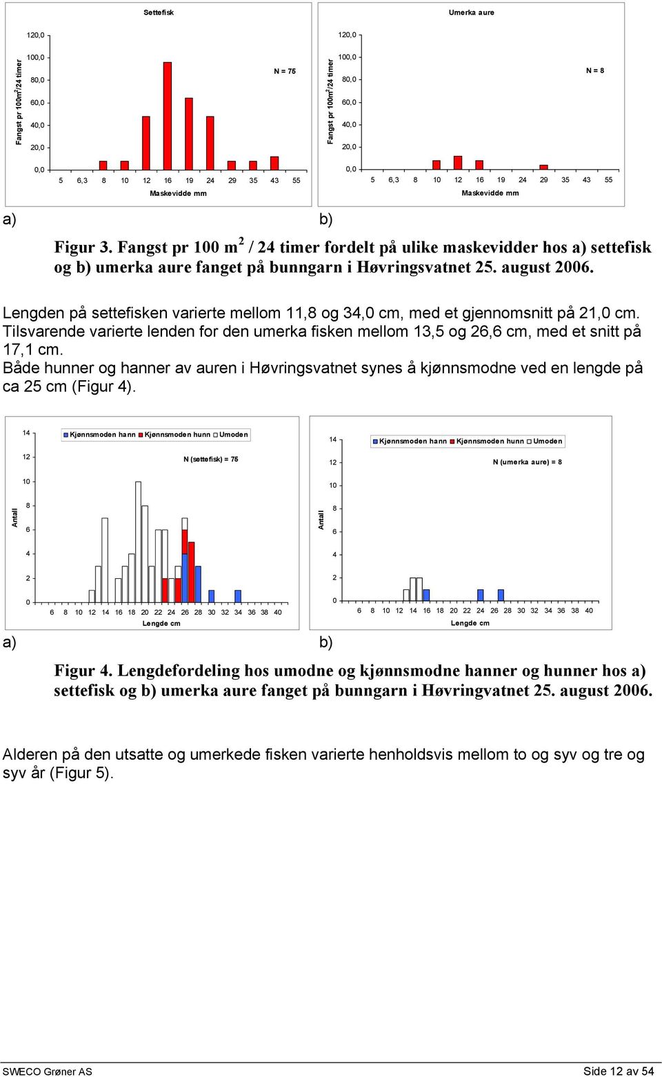 Lengden på settefisken varierte mellom 11,8 og 34, cm, med et gjennomsnitt på 21, cm. Tilsvarende varierte lenden for den umerka fisken mellom 13,5 og 26,6 cm, med et snitt på 17,1 cm.