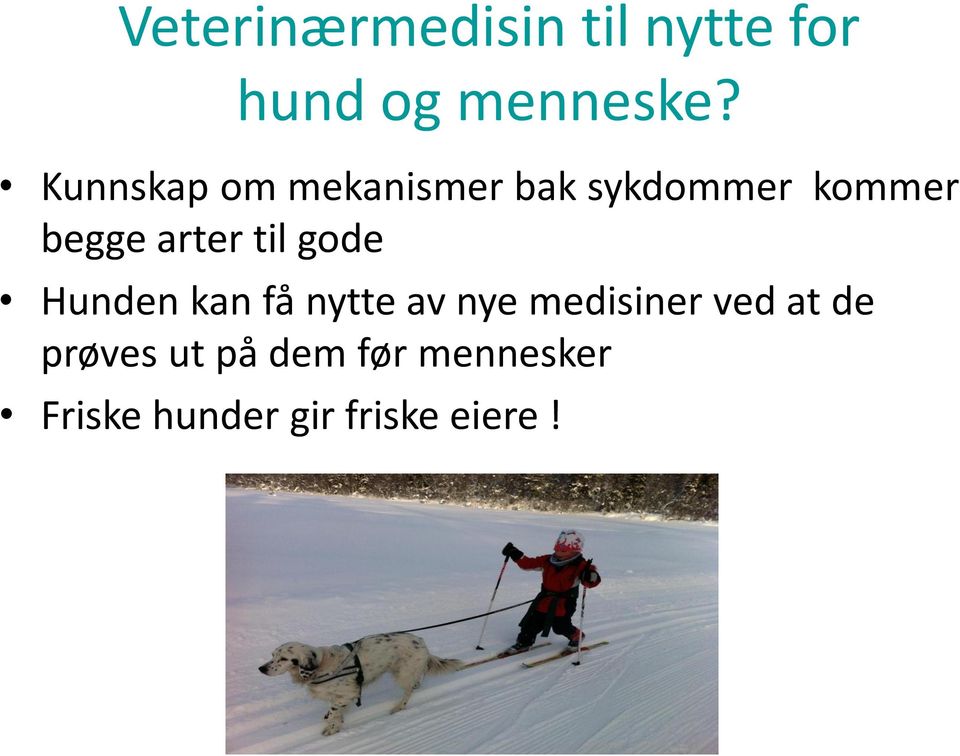 til gode Hunden kan få nytte av nye medisiner ved at de