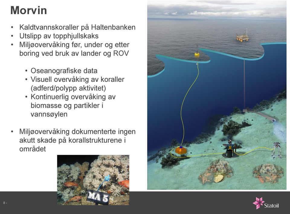 koraller (adferd/polypp aktivitet) Kontinuerlig overvåking av biomasse og partikler i
