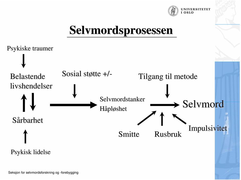 Tilgang til metode Selvmordstanker Håpløshet