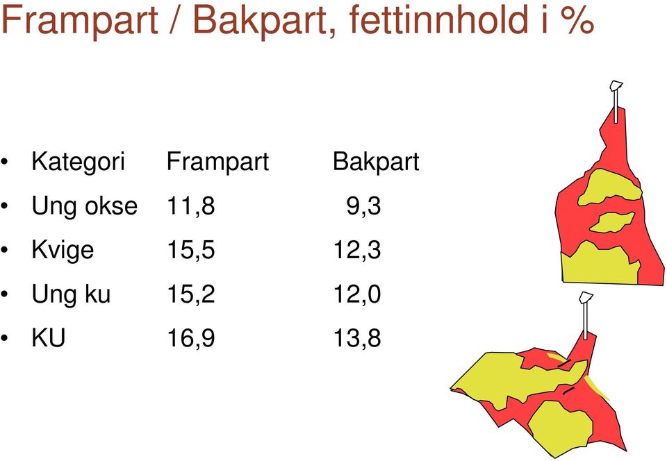 Ung okse 11,8 9,3 Kvige 15,5