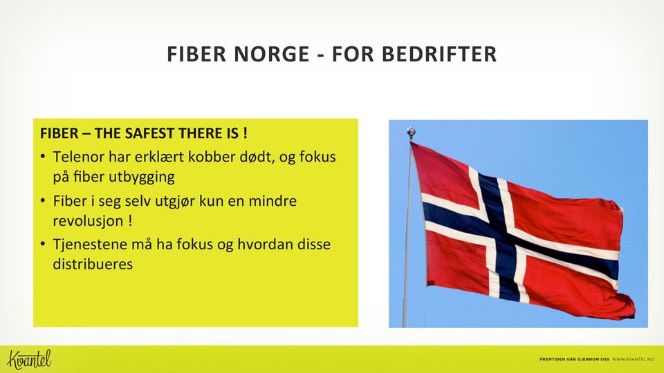 utbygging Fiber i seg selv utgjør kun en mindre