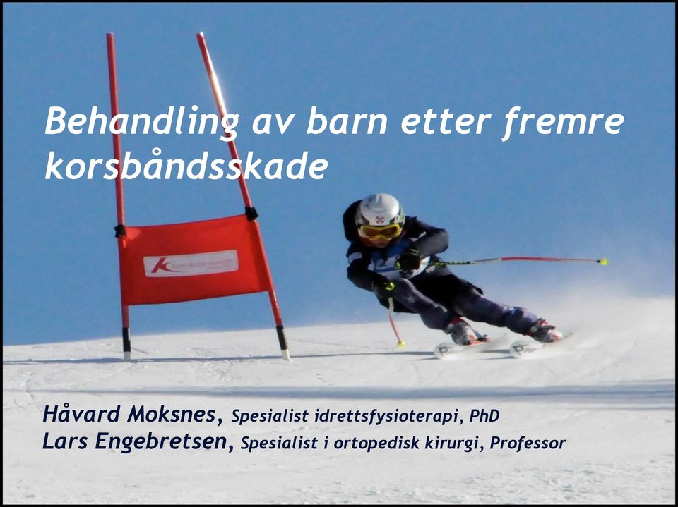 Spesialist idrettsfysioterapi, PhD Lars
