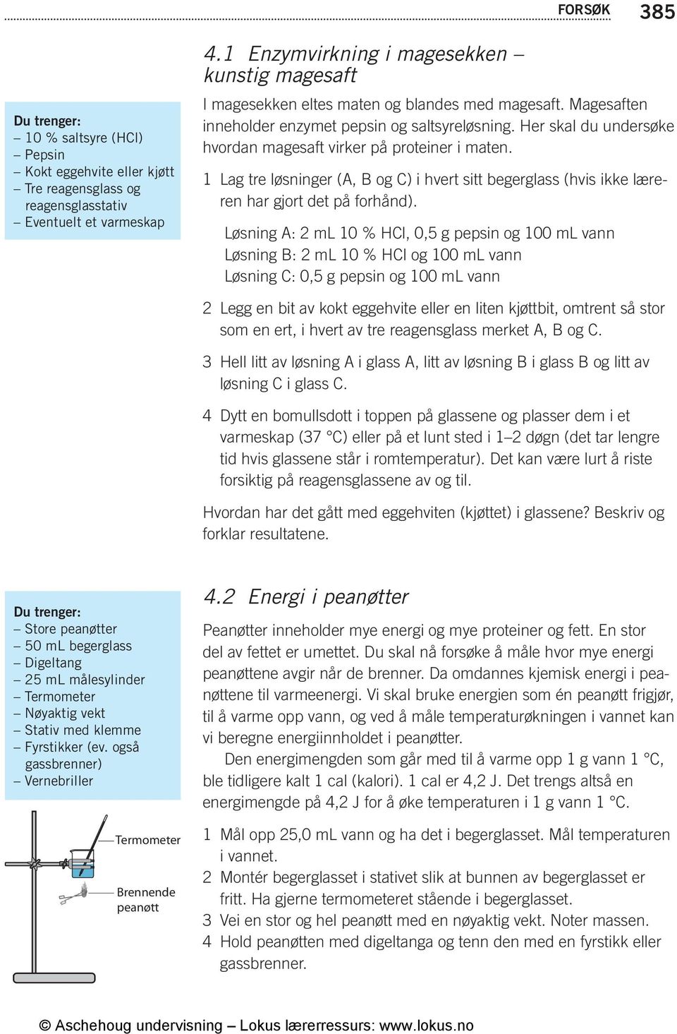 Her skal du undersøke hvordan magesaft virker på proteiner i maten. 1 Lag tre løsninger (A, B og ) i hvert sitt begerglass (hvis ikke læreren har gjort det på forhånd).