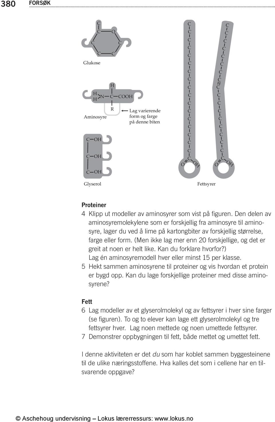 (Men ikke lag mer enn 20 forskjellige, og det er greit at noen er helt like. Kan du forklare hvorfor?) Lag én aminosyremodell hver eller minst 15 per klasse.