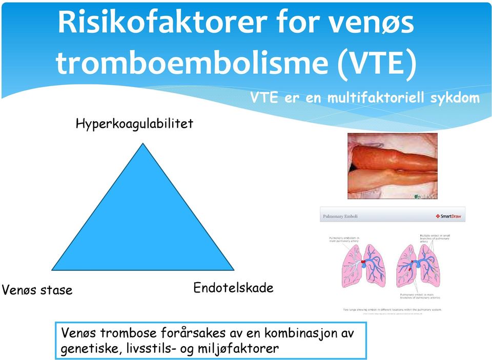 Venøs stase Endotelskade Venøs trombose forårsakes