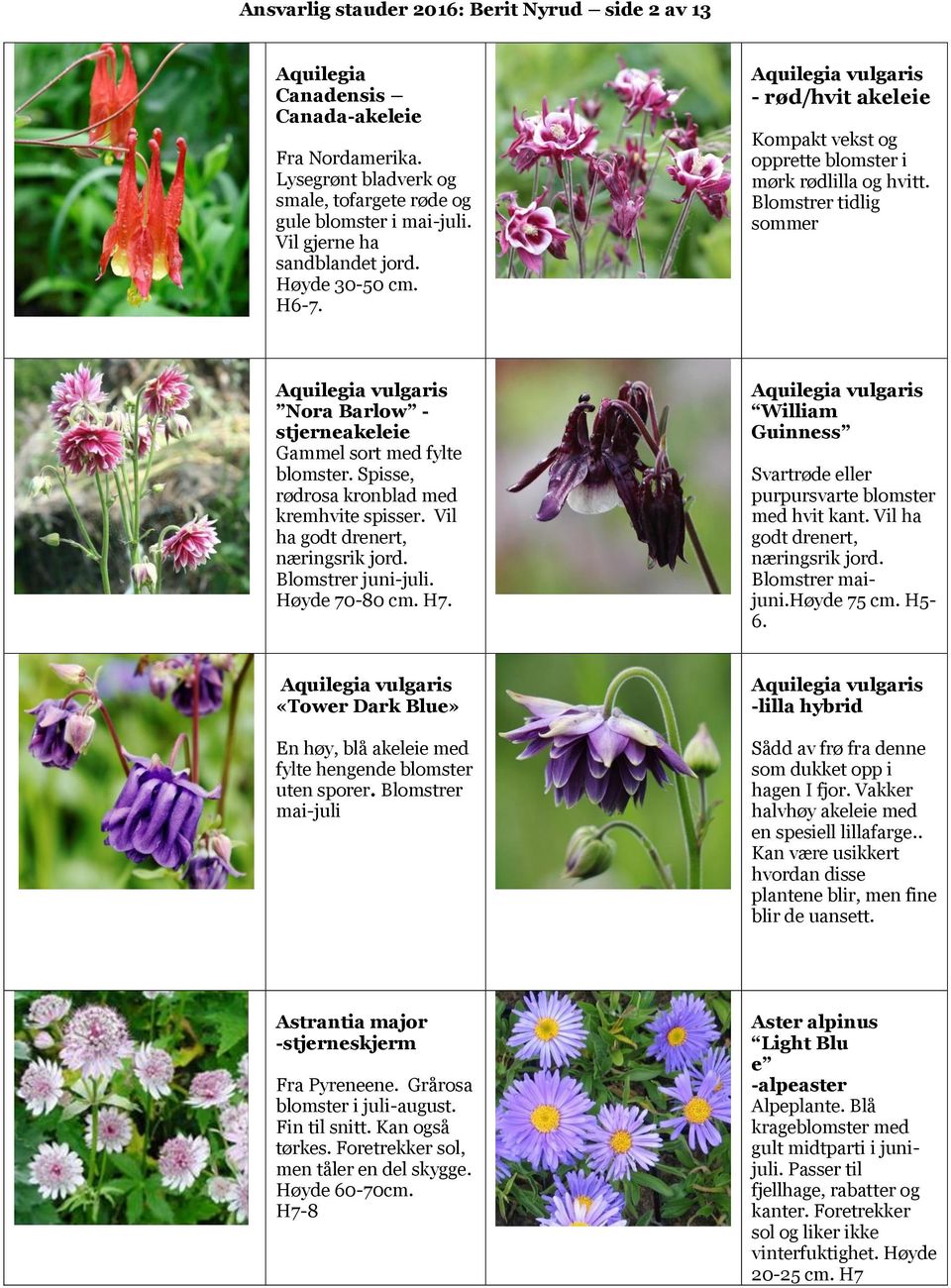 Blomstrer tidlig sommer Aquilegia vulgaris Nora Barlow - stjerneakeleie Gammel sort med fylte blomster. Spisse, rødrosa kronblad med kremhvite spisser. Vil ha godt drenert, næringsrik jord.