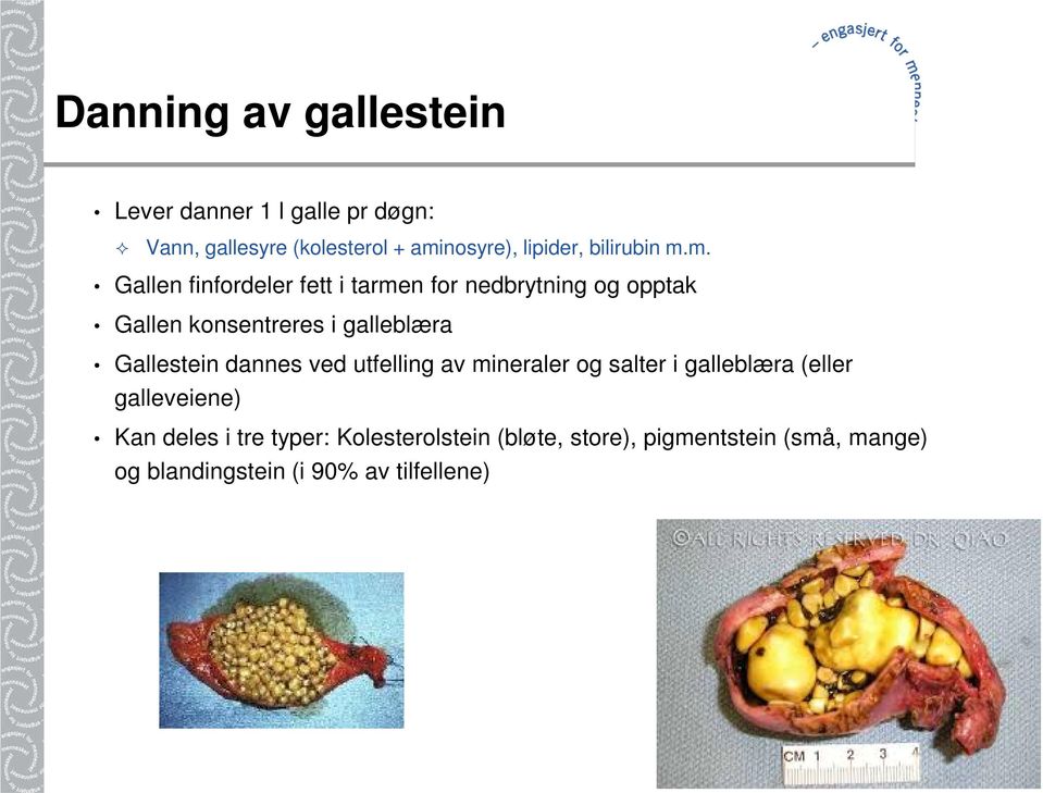 m. Gallen finfordeler fett i tarmen for nedbrytning og opptak Gallen konsentreres i galleblæra