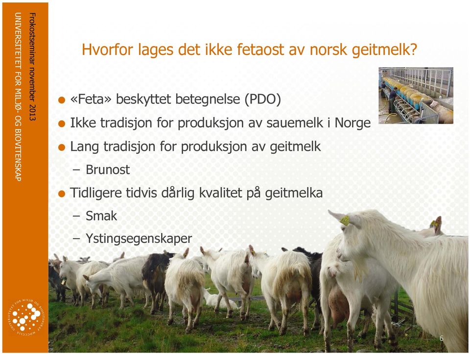 av sauemelk i Norge Lang tradisjon for produksjon av geitmelk