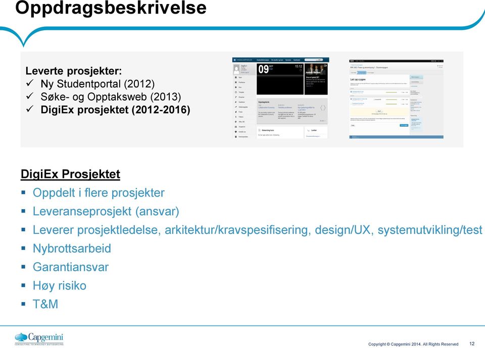 (ansvar) Leverer prosjektledelse, arkitektur/kravspesifisering, design/ux,