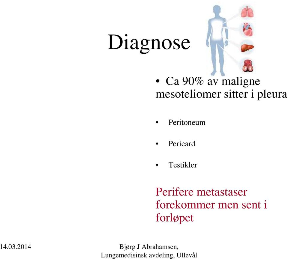 Peritoneum Pericard Testikler