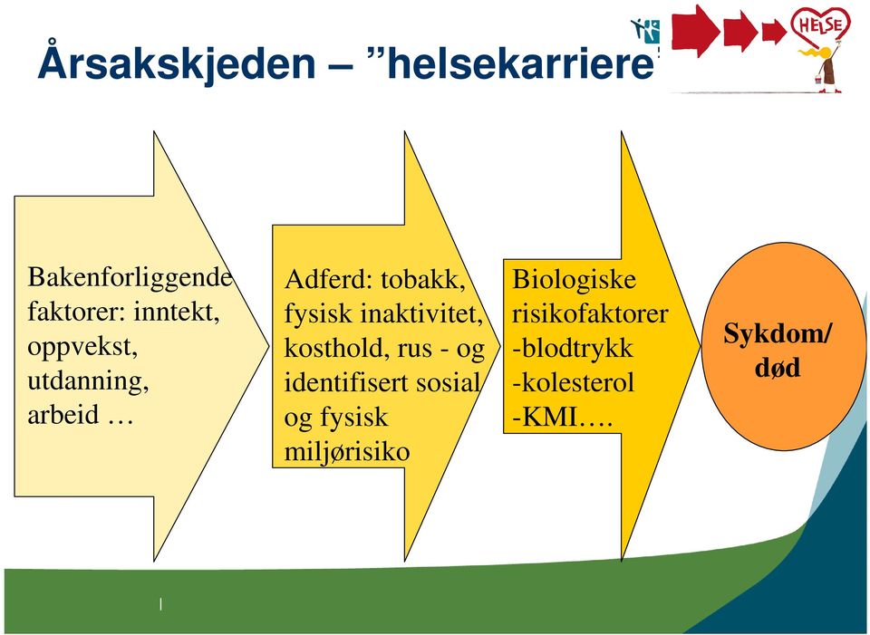 kosthold, rus - og identifisert sosial og fysisk miljørisiko