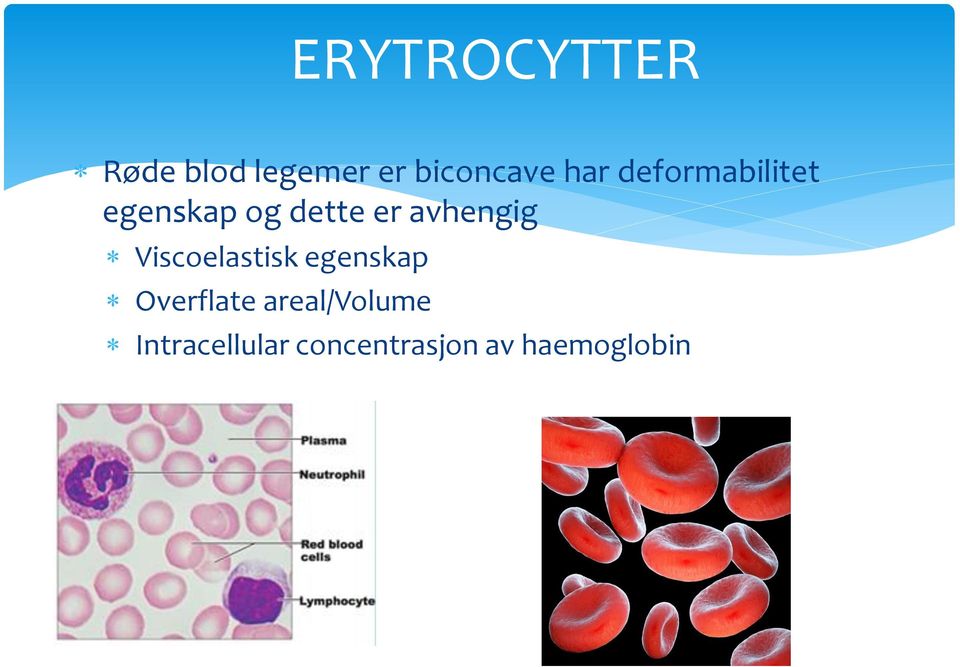 avhengig Viscoelastisk egenskap Overflate